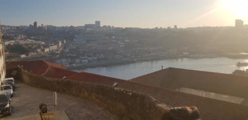 CSA Porto 2019 (11)